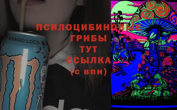 дживик Бронницы