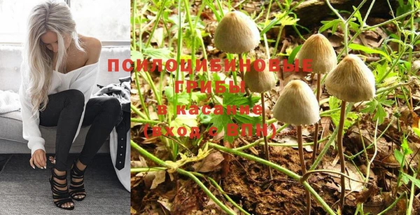 мдма Бородино