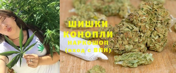 дживик Бронницы