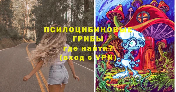 мдма Бородино